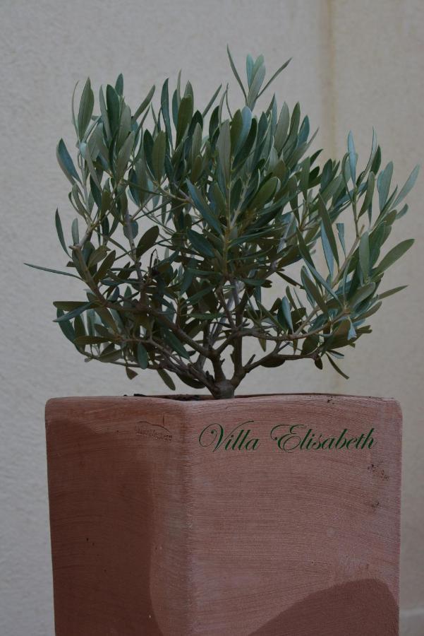 אקס-אן-פרובאנס Villa Elisabeth מראה חיצוני תמונה